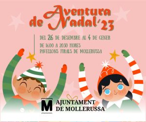 LleidaDiari_300x250_web