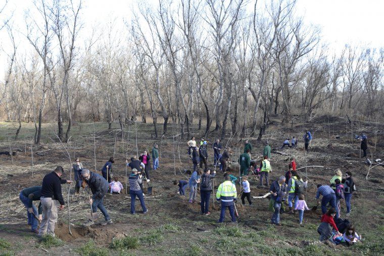 Diversos ciutadans, molts d'ells famílies, han participat en aquesta iniciativa.