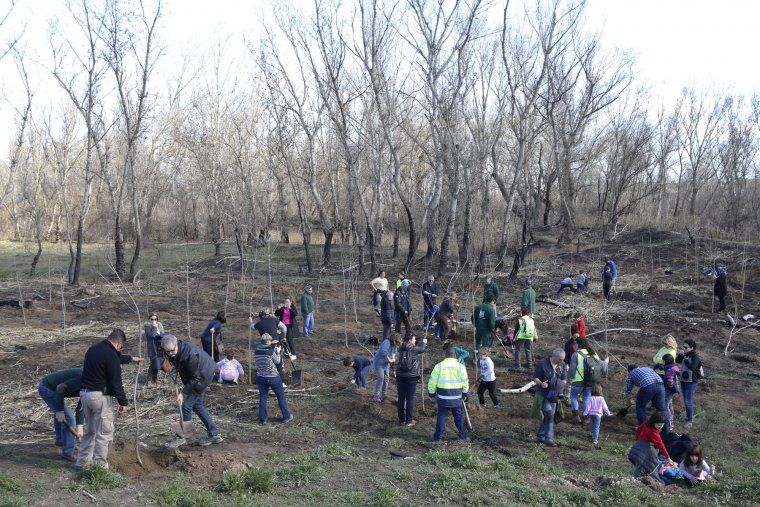 Lleida recupera amb una plantació popular la zona cremada a la Mitjana pels focs del 2017