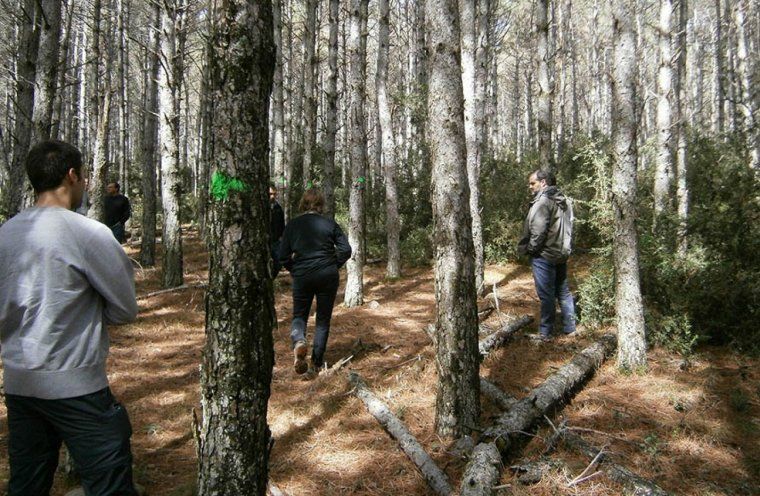 El Consell del Jussà promou la inserció laboral dels joves en el sector forestal