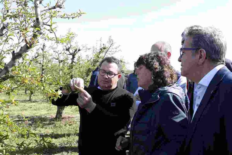 Imatge de la consellera d'Agricultura