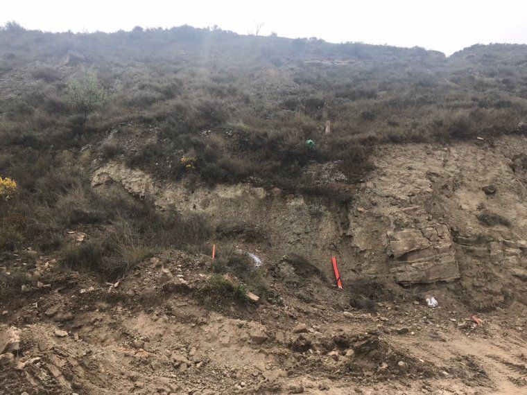 La zona on s'ha trobat l'artefacte