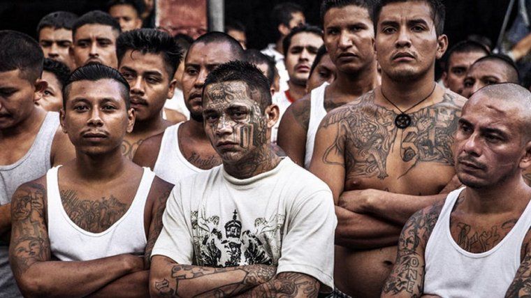 Miembros de la mara Salvatrucha en prisión.