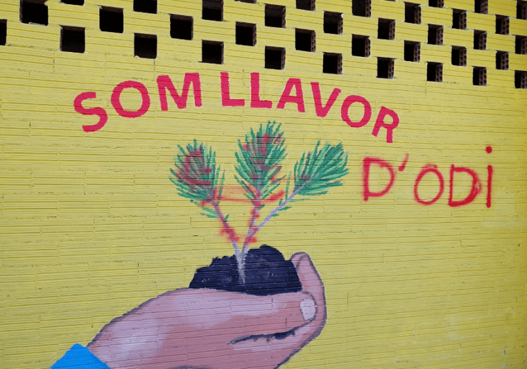 Pintada al mural de Cappont