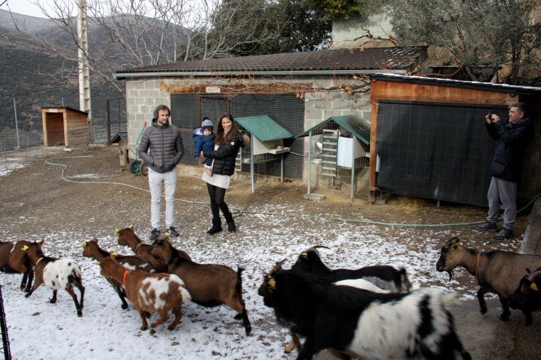 Una família mirant les cabres de la casa rural Cal Serni de Calvinyà, a Les Valls de Valira